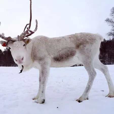 Great With Amazing View