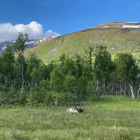 Great With Amazing View