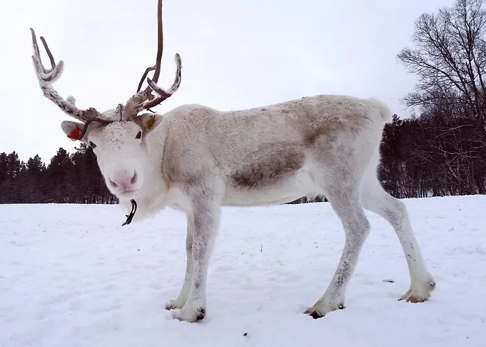 Great With Amazing View