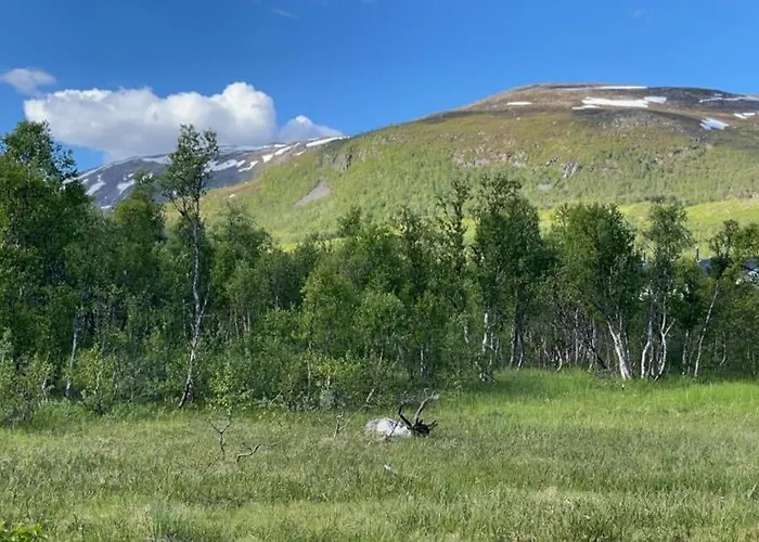 Great With Amazing View